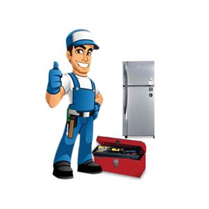 Refrigerator / Fridge Repair & Services